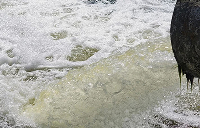 工業(yè)廢水的分類我們知多少