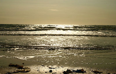 2020年污水處理行業(yè)發(fā)展趨勢、現(xiàn)狀及前景分析