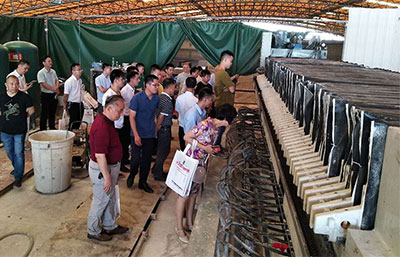 隔膜壓濾機(jī)用于污泥脫水的原理及優(yōu)勢